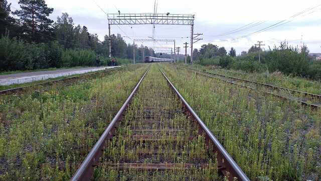 Показана возможная цель подорвавших железную дорогу под Брянском